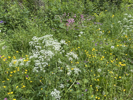 22-05-29 12-40-38 0961